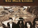 The Black Crowes ‎– The Southern Harmony And Musical Companion Vinyl
