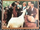 The Beach Boys Pet Sounds LP VG++ Mono
