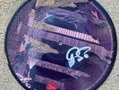 TREY ANASTASIO Signed / Auto’d “Blue Ash & Other Suburbs” 2013 RSD Picture Disc