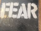 FEAR The Record