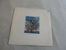 TALK TALK LP PROMO SPIRIT OF EDEN.ARGENTINA PRESS ESPIRITU DEL EDEN MARK HOLLIS