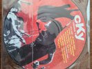 CKY Volume 1 Picture Disc 12