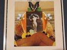 The Pretty Things Real Pretty 1976 Rare Earth R7-549R2 Vinyl original great 2 lp