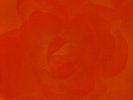 MOTORPSYCHO - Let Them Eat Cake    1 X Weiß-Rosa Vinyl    Platte ist Ungespielt