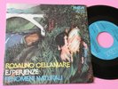 ROSALINO CELLAMARE RON 7