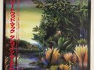 FLEETWOOD MAC TANGO IN THE NIGHT WARNER P-13490 Japan OBI VINYL LP