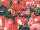 Rival Schools - Pedals [Limited 180-Gram Translucent Red Colored Vinyl] [New Vin