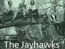 Jayhawks - Tomorrow The Green Grass LP NEW 180G