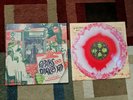 Pears Direct Hit  Human Movement Fat Wreck Chords Vinyl Limited Edition