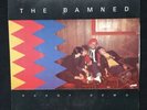 The Damned Dodgy Demo UK 7” PS 45