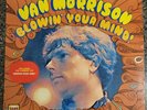 Van Morrison - Blowin' Your Mind Vinyl LP - 1967 - Bang Records BLP 218