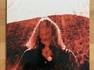 Ty Segall Manipulator Vinyl Album. Orange Transparent Vinyl. Drag City Inc.
