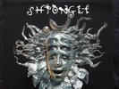 Shpongle – Are You Shpongled?  2 x Vinyl, LP, Limited Edition, Numbered