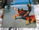 PRODIGY: FAT OF THE LAND ORIGINAL ALBUM