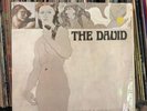 THE DAVID lp Another Day Another Lifetime 1967 Garage Psych Shrink Psychedelic