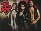 RODS, The - Rock Hard - Vinyl (silver vinyl LP + poster + insert)