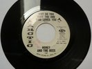 Honey and the Bees, 