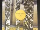 You Blew It    Keep Doing What You're Doing / Emo SIGNED Marble Wax LP 2014