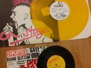 Exploited , Punk Vinyl