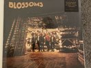 Blossoms Vinyl
