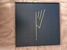Wild Swans Indie Rock Boxset RARE NM like New John Peel Post Punk