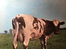 PINK FLOYD ATOM HEART MOTHER USA EDITION PSYCH PROG ROCK LP