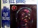 BIG BILL BROONZY BLUES ULTRA-RARE ORIG'58 EMARCY MONO LP DG FIRST COVER & TITLE