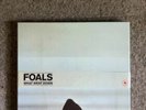Foals What Went Down Box Set Vinyl Records Rare