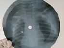 BLACK SABBATH RAT SALAD X-Ray USSR Record Roentgen Ribs Bones Music Vinyl