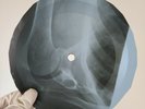 JAKIE WILSON HIGHER&HIGHER X-Ray USSR Record Roentgen Ribs Bones Music Vinyl