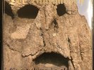 Der Blutharsch – Everything Is Alright  LP Death In June Laibach Blood Axis Non