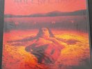 ALICE IN CHAINS - DIRT - REMASTERED 180 GRAM AUDIOPHILE VINYL LP - LAYNE STALEY