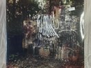 La Dispute Wildlife 2xLP Vinyl (Purple) New Sealed Gatefold