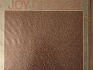 JOY DIVISION - The Peel sessions - 12