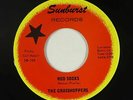 Garage Surf 45 - Grasshoppers - Mod Socks - Sunburst - VG++ mp3 - Cars-related
