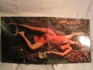 ROXY MUSIC  -  STRANDED   ( LP ) 1.UK-Pressung   Selten
