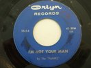 HEAR The Paniks Can't You See 45  1966 ORLYN-PUNKY NUGGETS GARAGE FUZZ