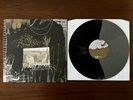 Portugal The Man Waiter You Vultures Vinyl LP Black Gray Split LTD /300 OOP