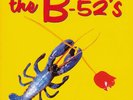 THE B-52's: DANCE THIS MESS AROUND (Ltd.Ed.180gm Holland Import)(MoV2016)