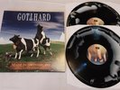 Gotthard Made In Switzerland - Live In Zürich LP Vinyl Record new NOTVD