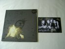 WOLF ALICE My Love Is Cool new sealed UK 2015 gold vinyl 2LP with signed card
