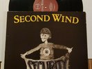 SECOND WIND SECURITY LP DC HC PUNK MINOR THREAT DOUBLE O SCREAM DAG NASTY FAITH