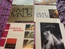 Simple Minds 6 X 12”