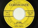 Surf Inst. 45 - Buffalo Highlites - Spyder - Collegiate - mp3 - rare