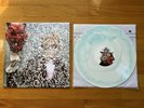 Ty Segall Self Titled “Cerulean Swirl” Vinyl LP Castle Face /300 Garage Rock OOP