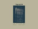 Karate-In Place Of Real Insight VINYL NEW