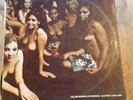 The Jimi Hendrix Experience Electric Ladyland Lp Record 613 008/9 Stereo