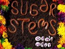 SUGAR STEMS Can't Wait LP exploding hearts goodnight loving screeching weasel 7