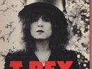 Orig '72 White Label Promo T. REX The Slider LP EX Glam Rock Classic Marc Bolan