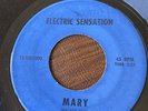 Electric Sensation MARY Missouri RARE GARAGE ROCK 45 Goodbye Boy TS-XM1000